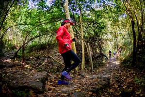 BIB: 
                            <button type="button" onclick="openModal(7029373)" class="btn btn-primary btn-sm float-right btn-popup" data-toggle="modal" data-target=".modal-high-quality">
                        <i class="fas fa-shopping-cart"></i> Add to Cart
                    </button>
                                            <button type="button" onclick="isThisMe(7029373, true)" class="btn btn-success btn-sm float-right btn-popup btn-isme hidden" data-toggle="tooltip" data-placement="bottom" title="นี่คือรูปของคุณใช่ไหม คลิกที่นี่เพื่อเอาเข้าอัลบั้ม">
                        <i class="fas fa-plus"></i> Add to album
                    </button>
                    <button type="button" onclick="isThisMe(7029373, false)" class="btn btn-warning btn-sm float-right btn-popup btn-isnotme hidden">
                        <i class="fas fa-ban"></i> Remove from album
                    </button>